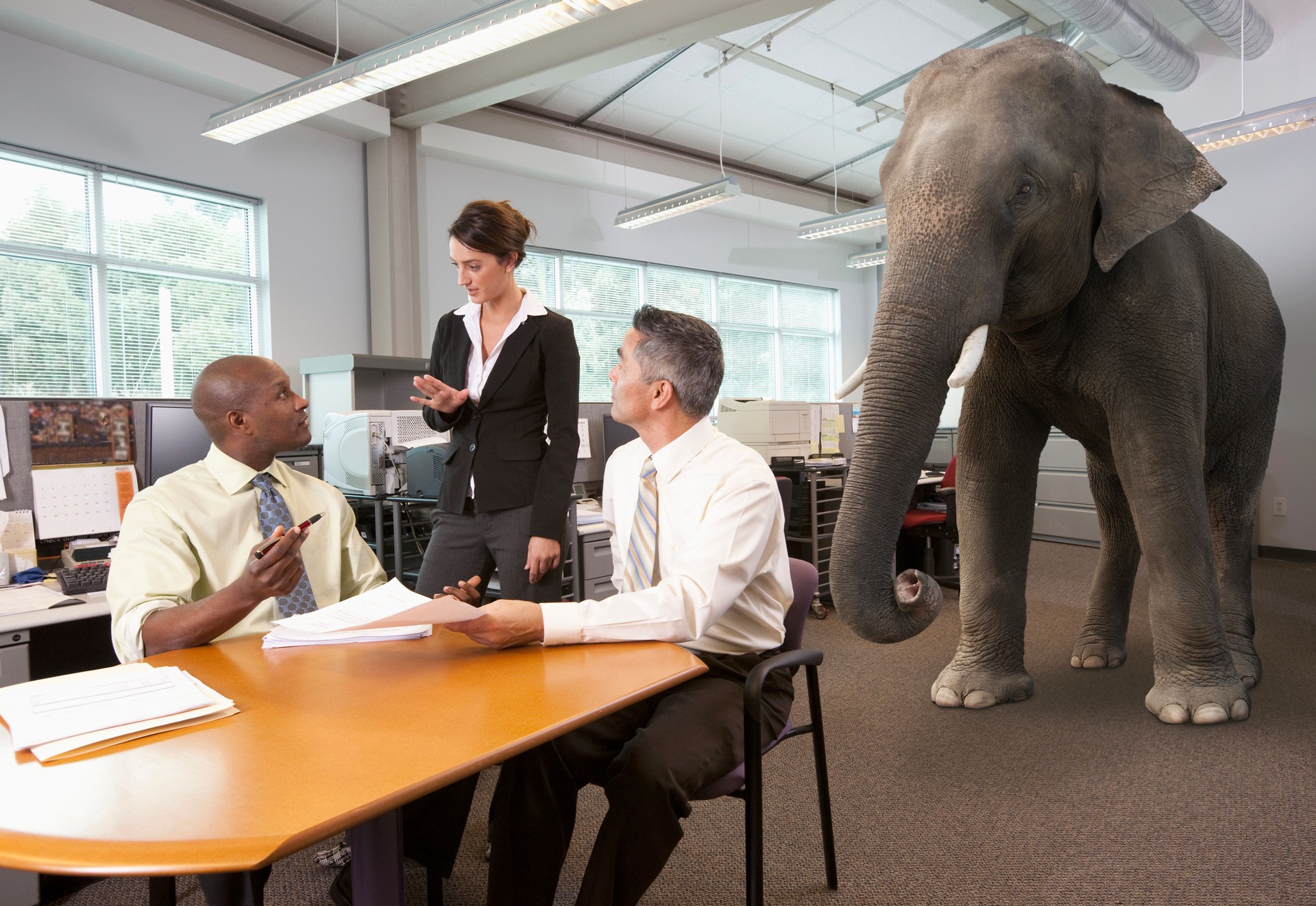 Conceptual image of elephant in the room at business meeting